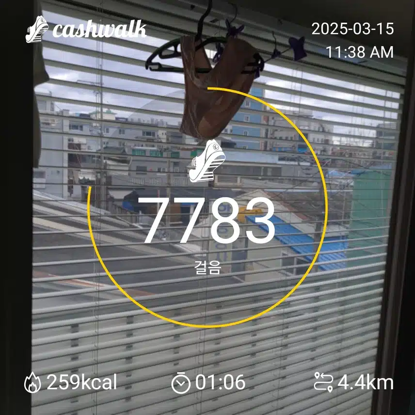 인증