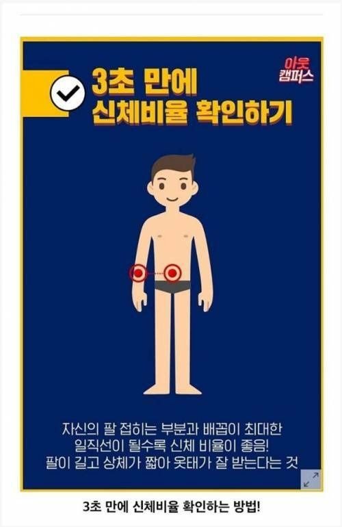 3초 만에 신체비율 확인하기
