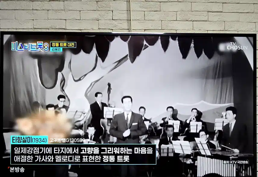 김용빈 님~~ <타향살이> 무대 엄청 멋집니다!