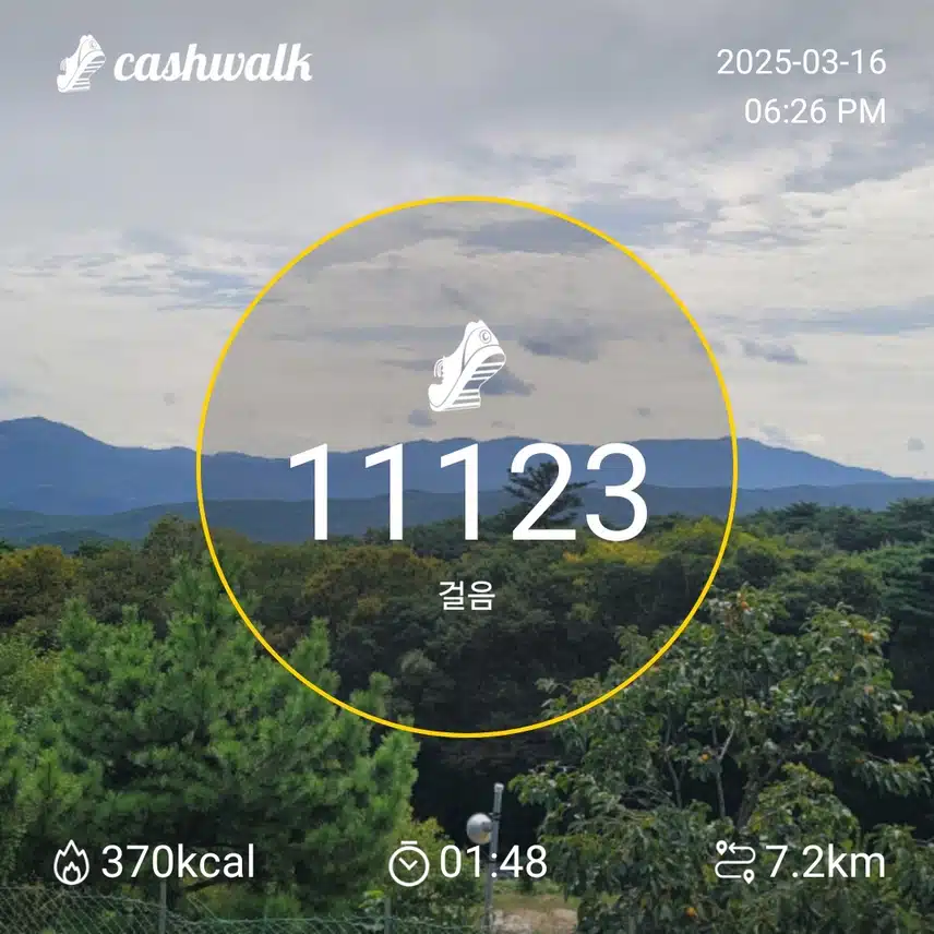 인증 