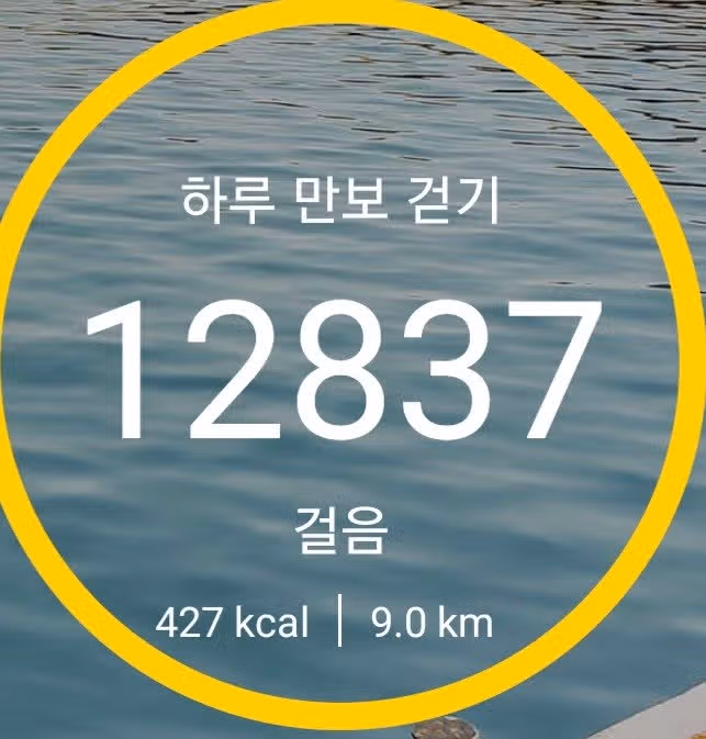 미션완료