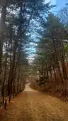 board-img