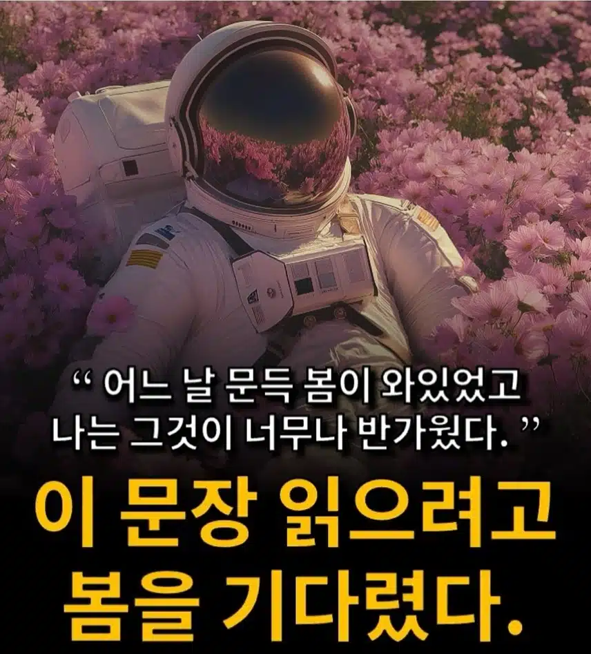 *🌸봄을 느낄 수 있는 문장들🌸