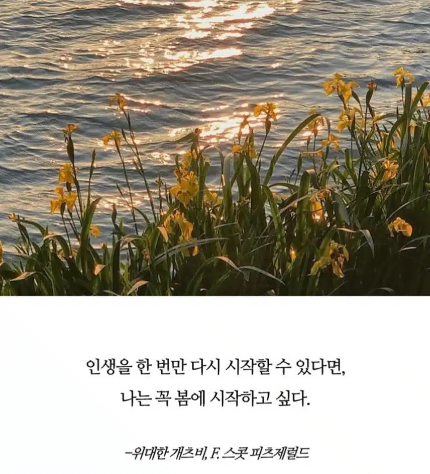 *🌸봄을 느낄 수 있는 문장들🌸