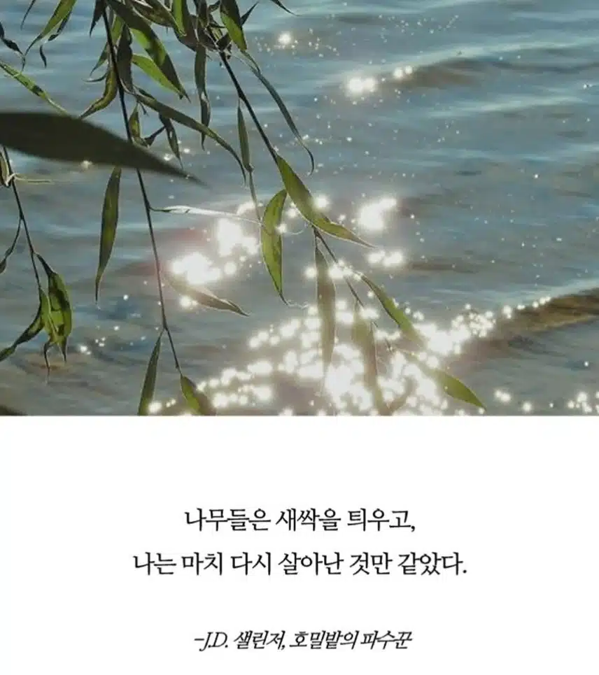 *🌸봄을 느낄 수 있는 문장들🌸