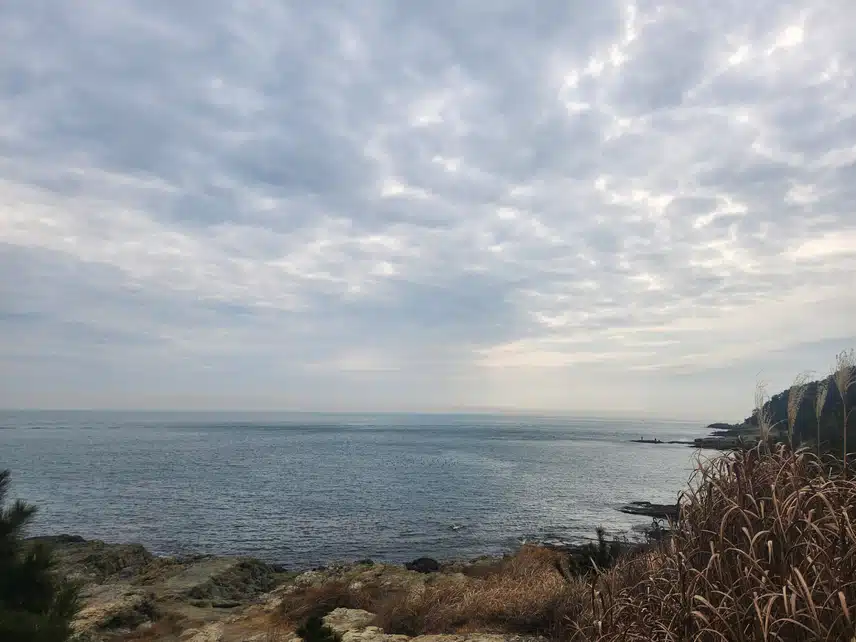 주말에 걷기