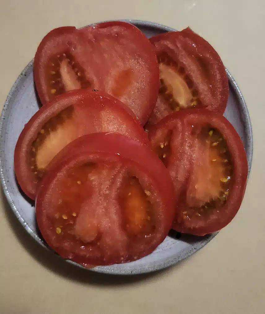 토마토+올리브오일의 건강 🍅🍾