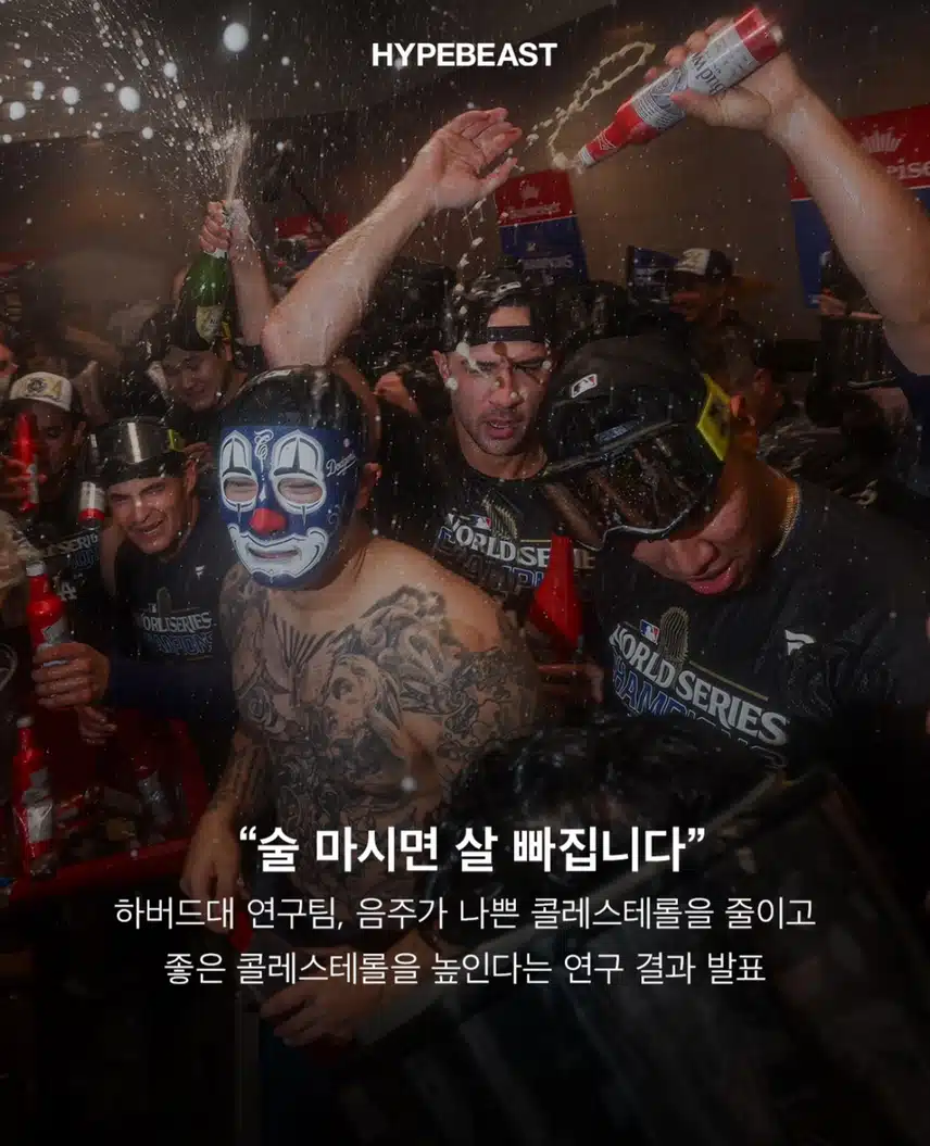 하버드대 연구팀, ‘음주 = 나쁜 콜레스테롤 낮추고, 좋은 콜레스테롤 높인다’
