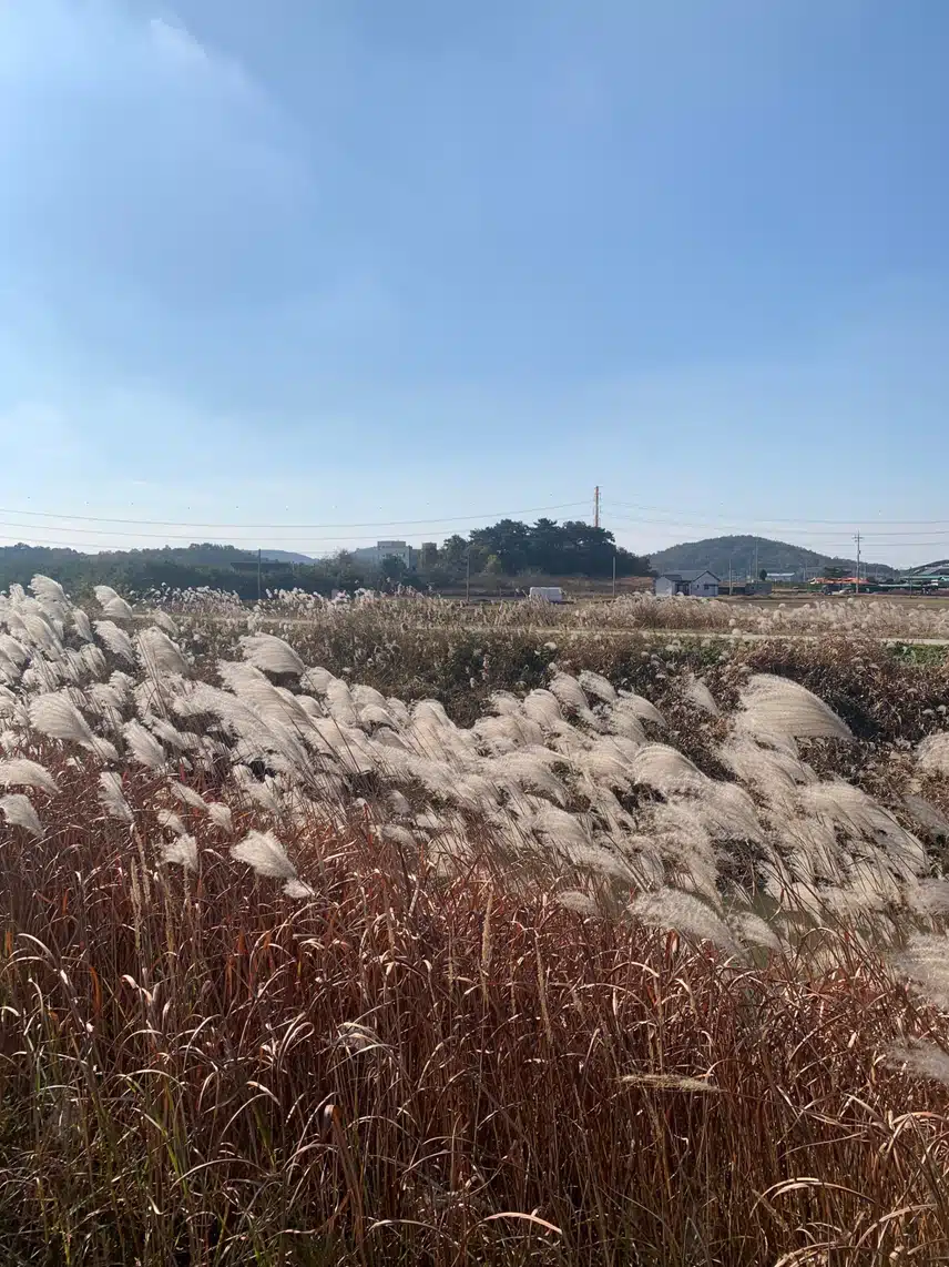 마음이 복잡하고 속상할때 나만의 힐링취미 - 음악 들으며 힐링 산책