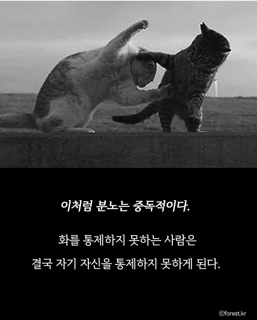 *감정이 흔들리고 무너질 때 기억해야 할 말!! 