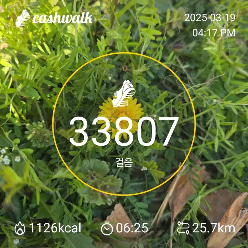 걷기 