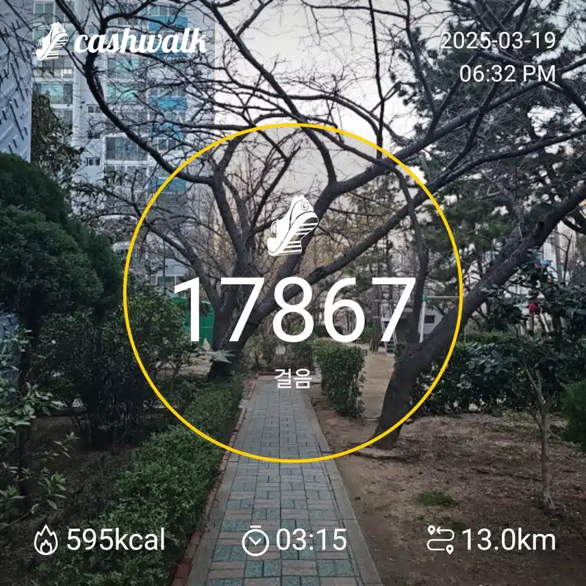 인증 