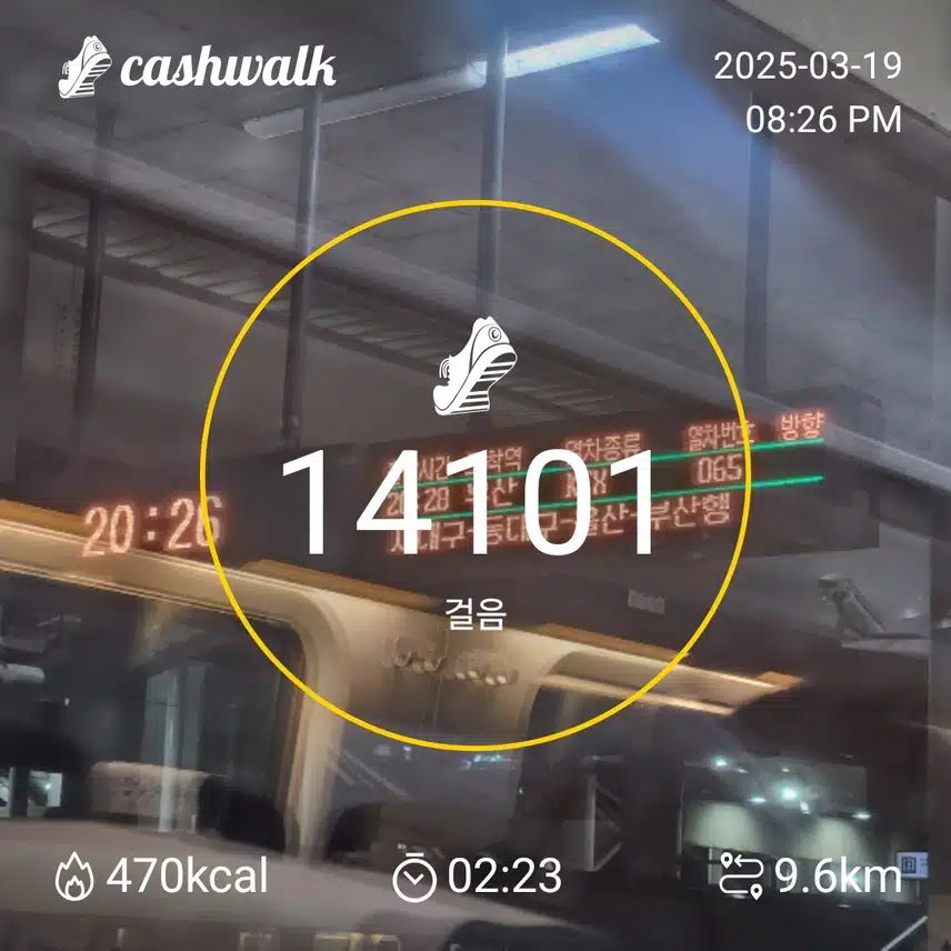 오늘의 만보걷기. 다시 대구행~