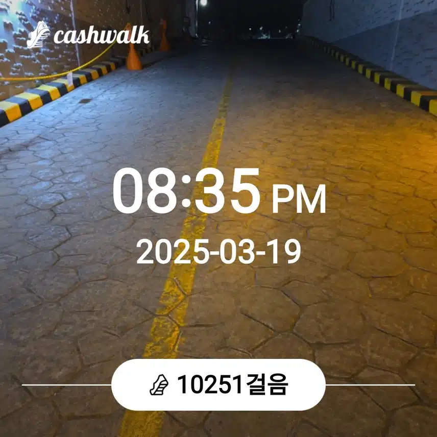 오늘도 만보걷기를....