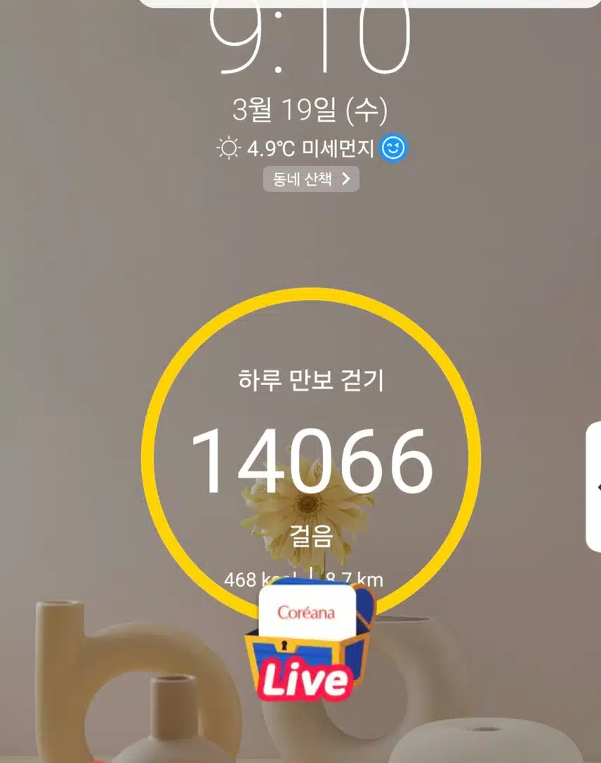1만보 걷기 완료