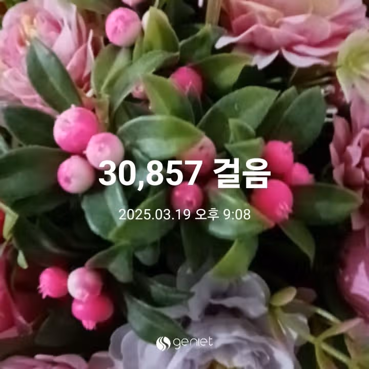 삼만보 걷기 