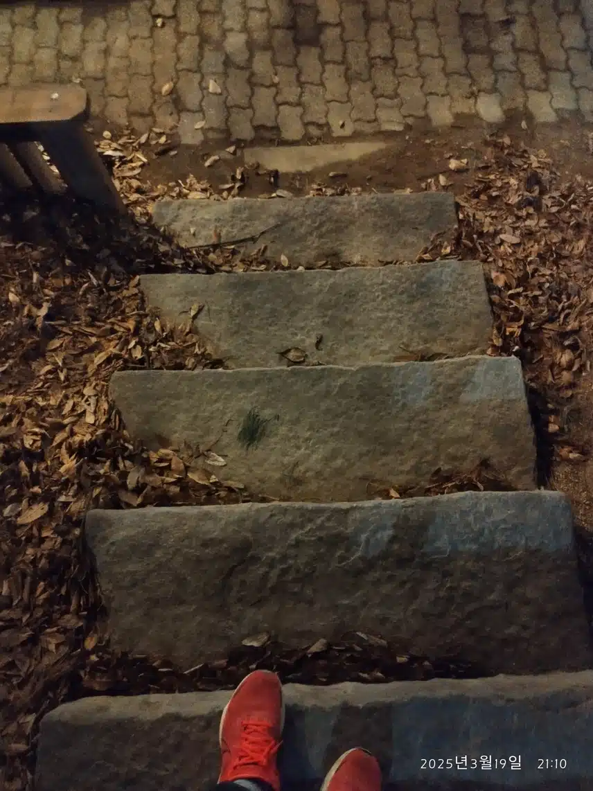 3.19 저녁운동