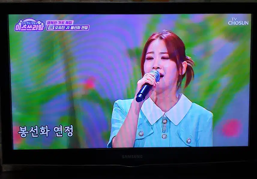 오유진양 봉선화연정 잘 불렀어요