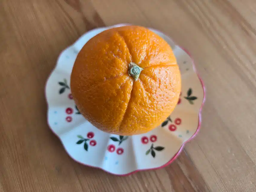 *비타민 가득~오렌지🍊 냠~🧡