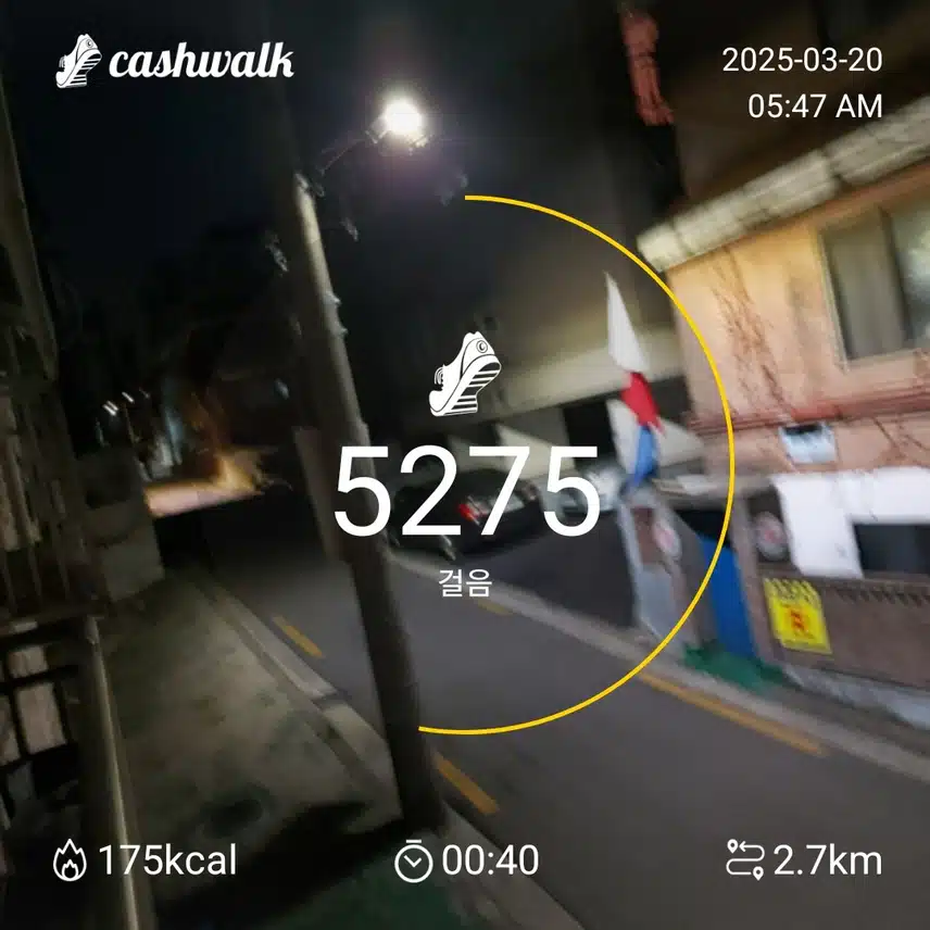 3000보 걷기