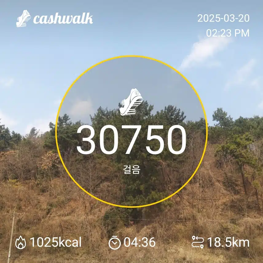 인증 