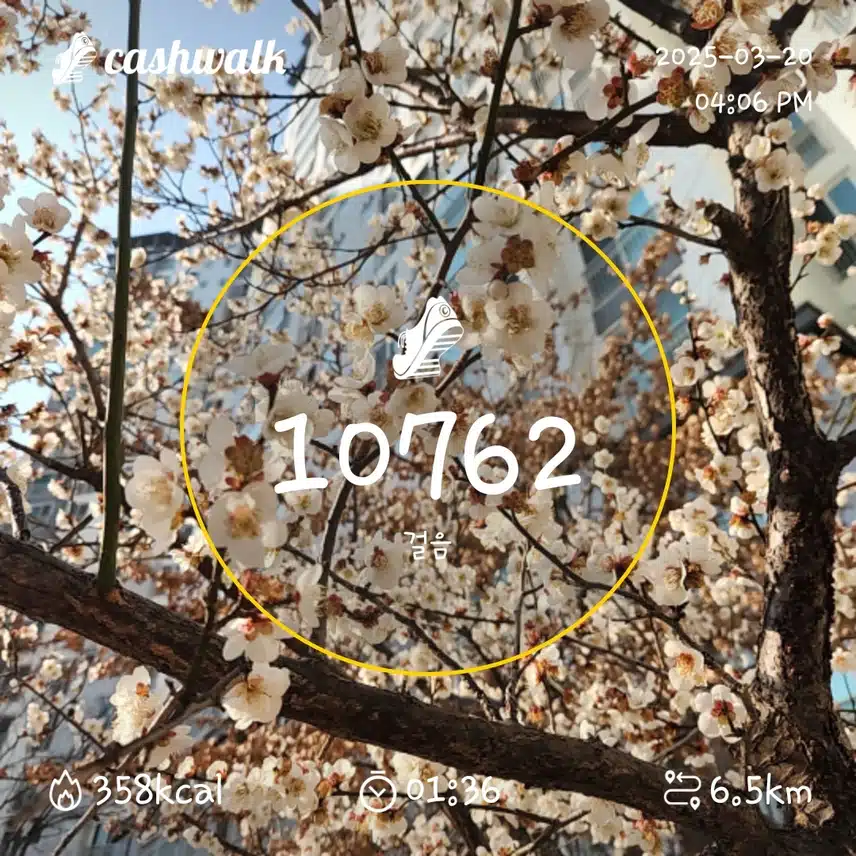 인증