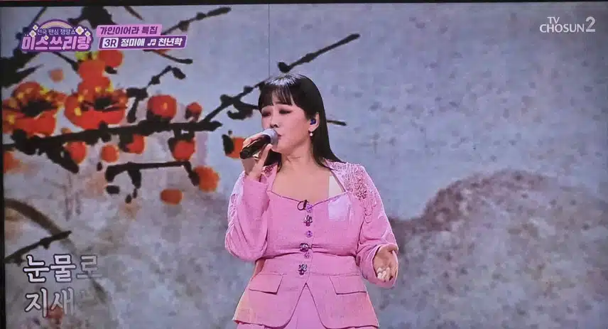 정미애님 무대 여전히 멋져요