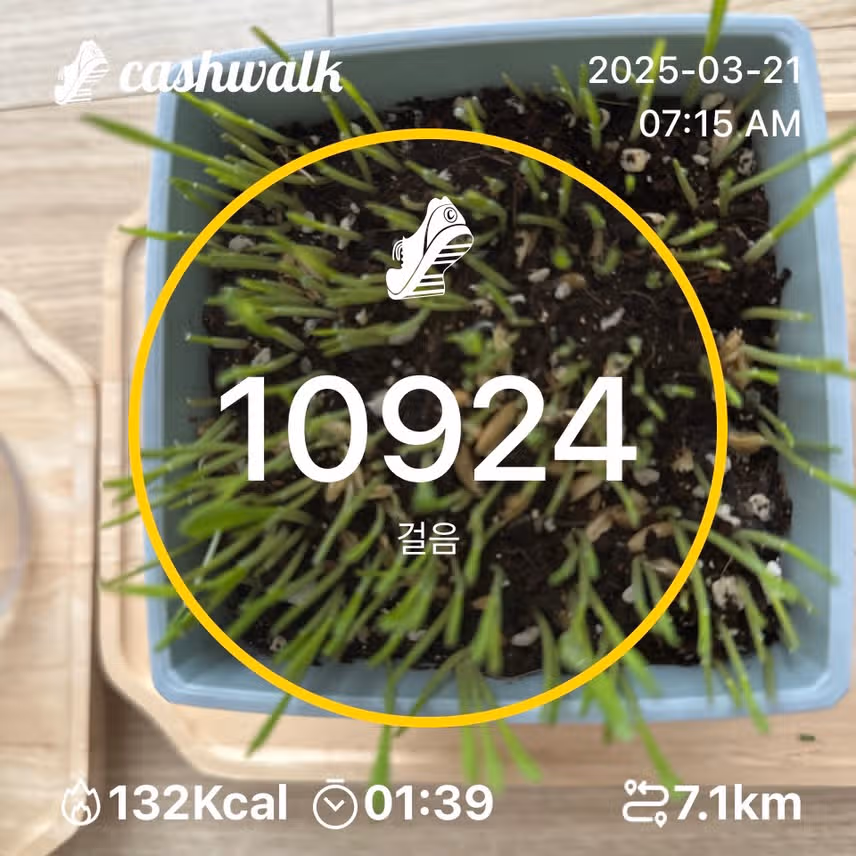 인증
