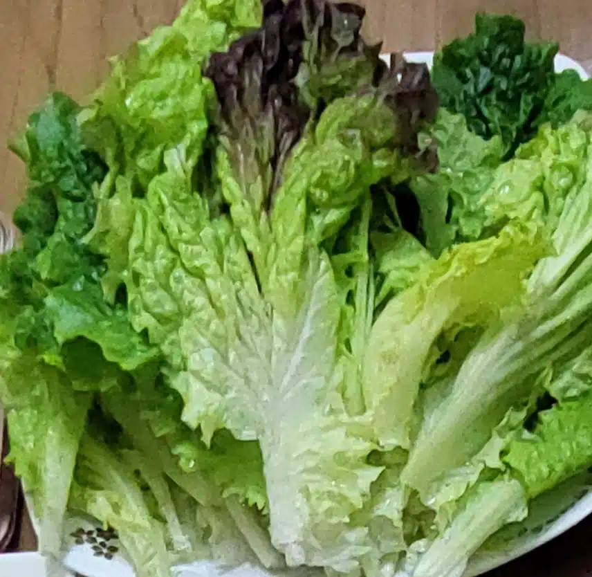 면역력 상승! 맛있는 한쌈 우렁이 쌈장🐚
