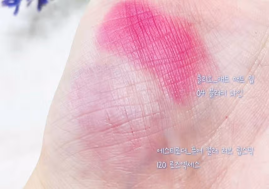 에스티로더 로즈엑세스 vs 클리오 블러디 와인 발색비교