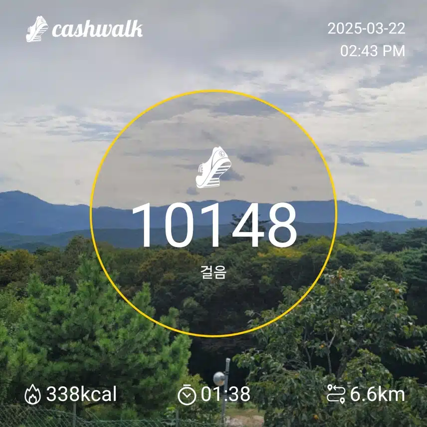 인증 