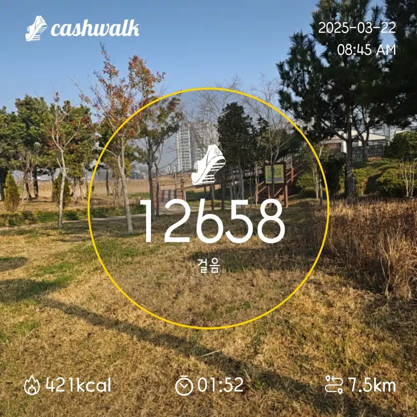인증
