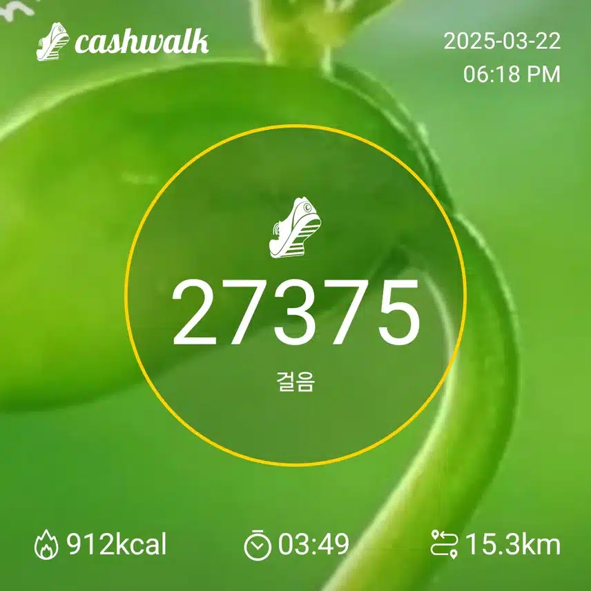 주말 산행후.수육.순대  막걸리 한잔 넘 좋아요. 땀 흘리고. 마시는 막걸리 한잔 ..