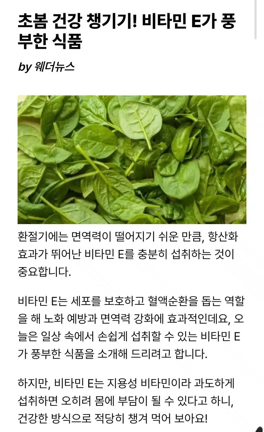 비타민 E를 챙기자