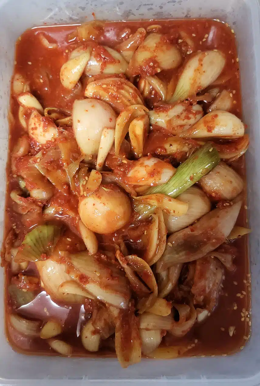  🧅양파김치 담갔어요.