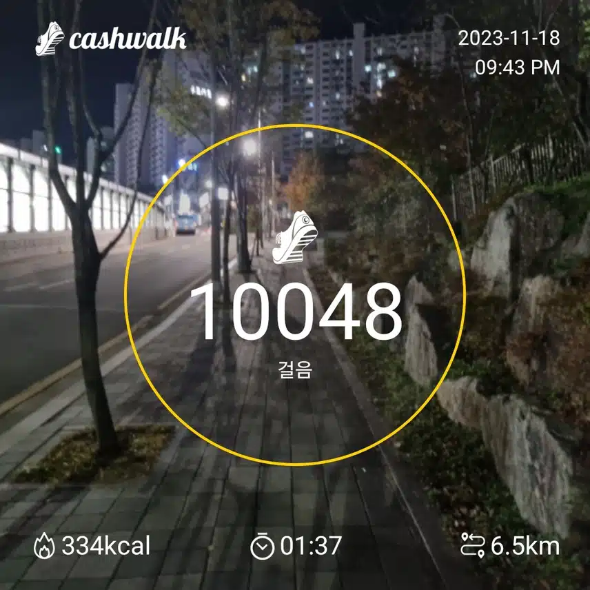 만보요~~
