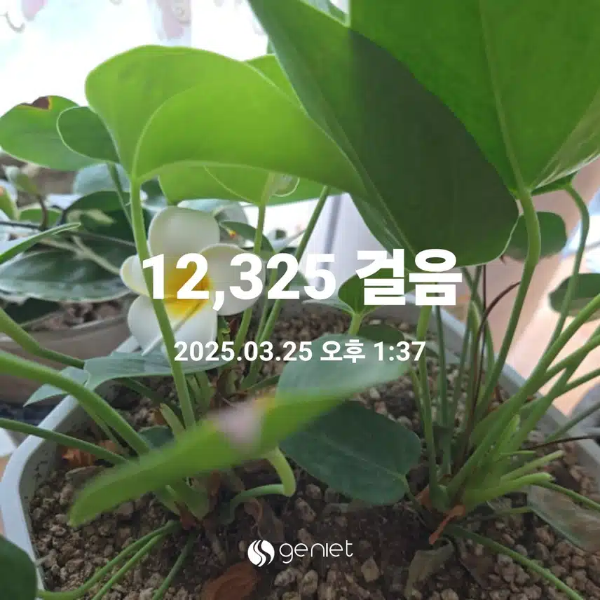 걷기운동,,