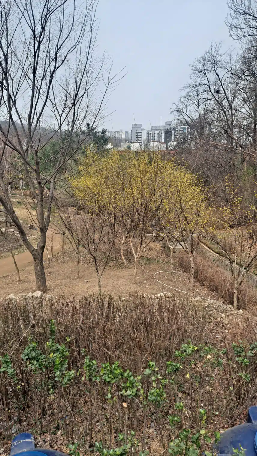 나만의 힐링 포토 시간