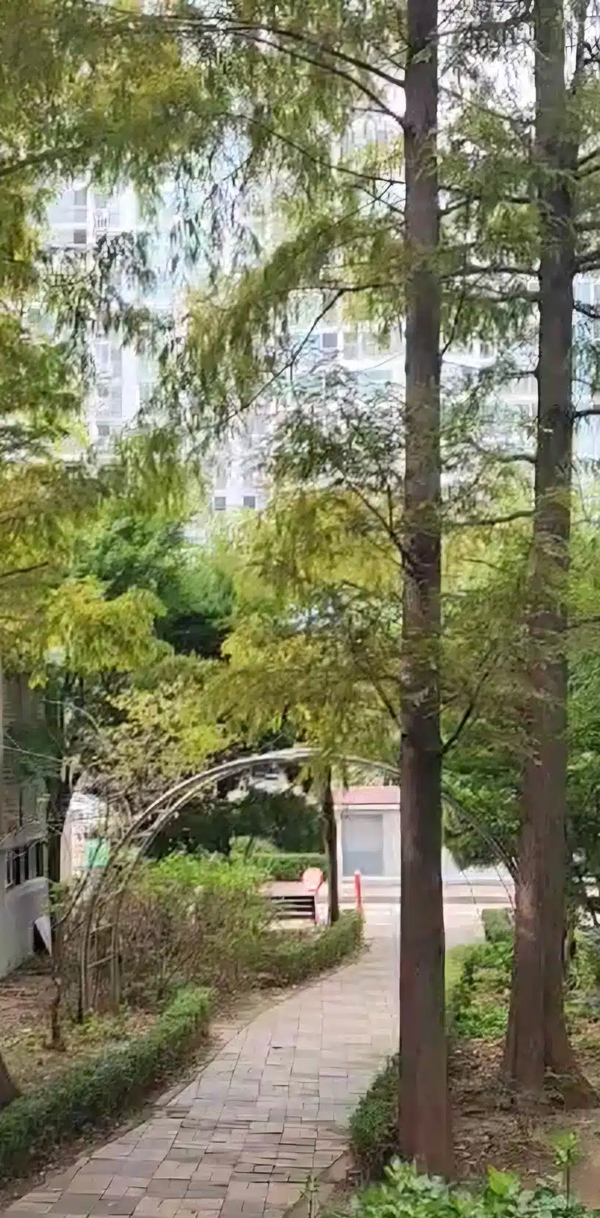 스트레스를 없애주는 나만의 힐링 취미 및 꿀팁 '만보걷기'공유