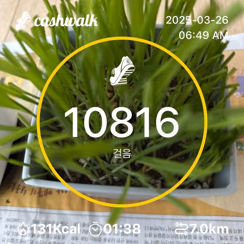 인증