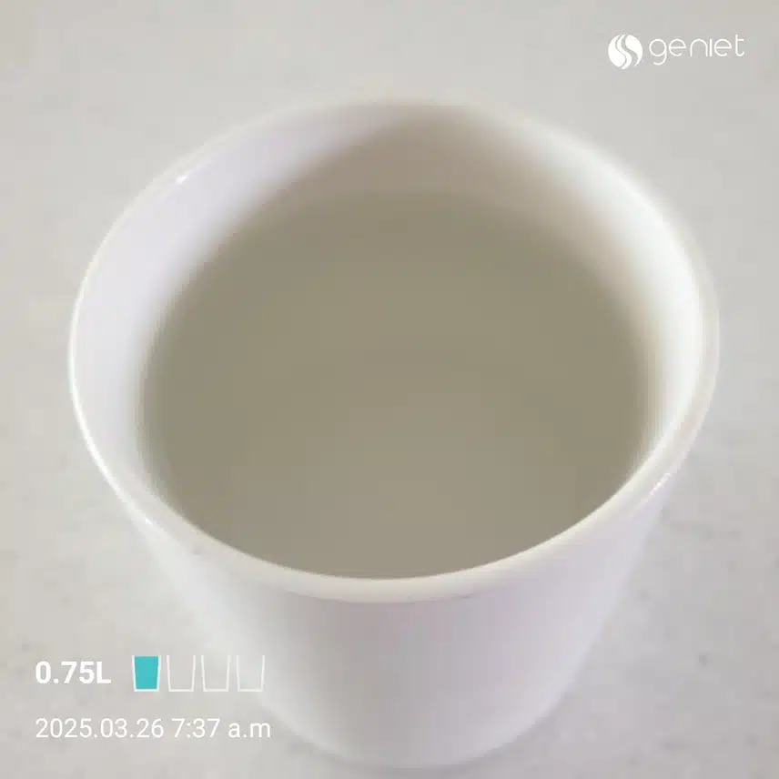 공복물