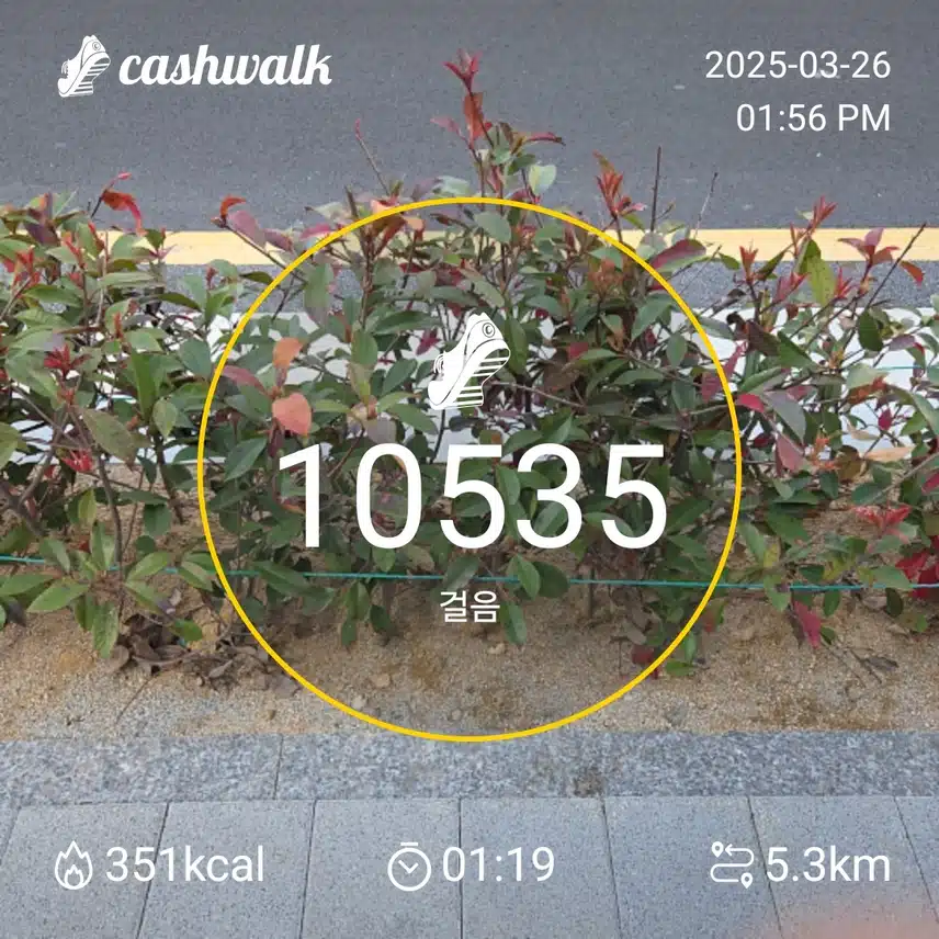 인증 