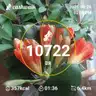 board-img
