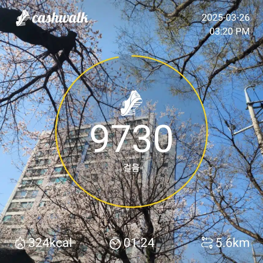 인증