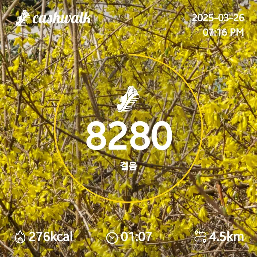 7천보인증