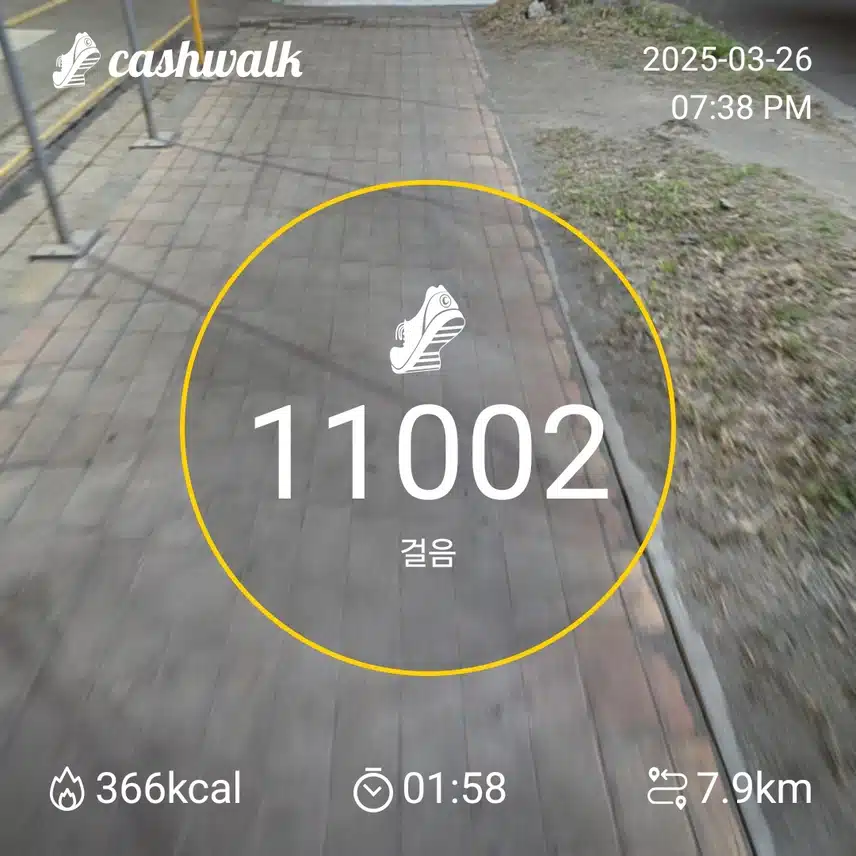 인증