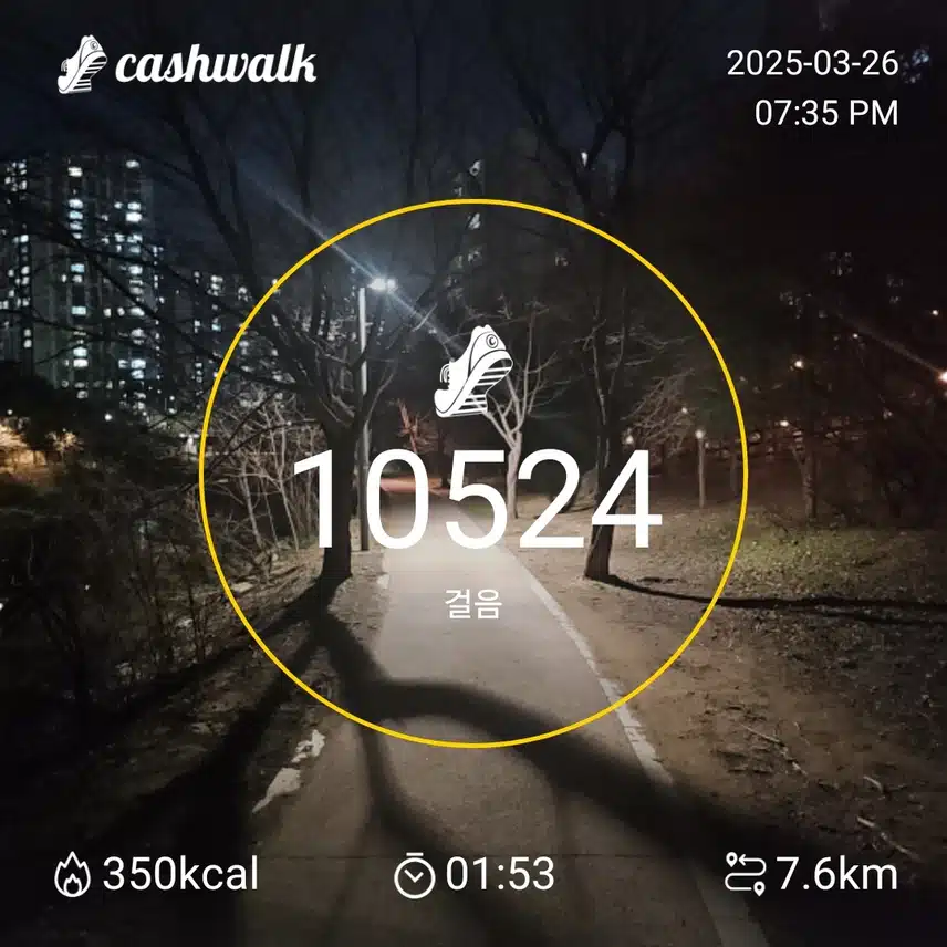 인증