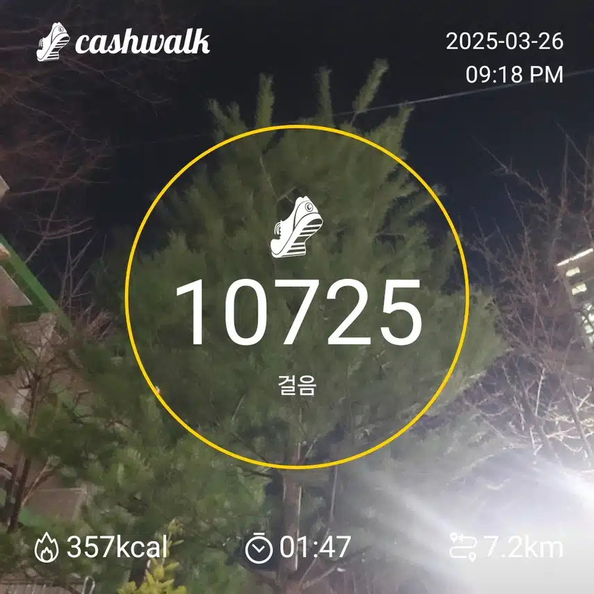 인증