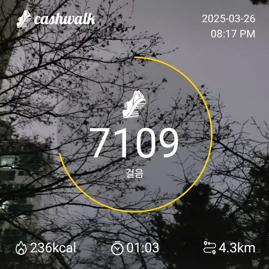 인증 
