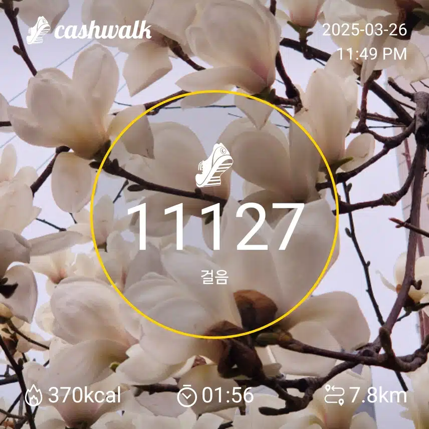 인증